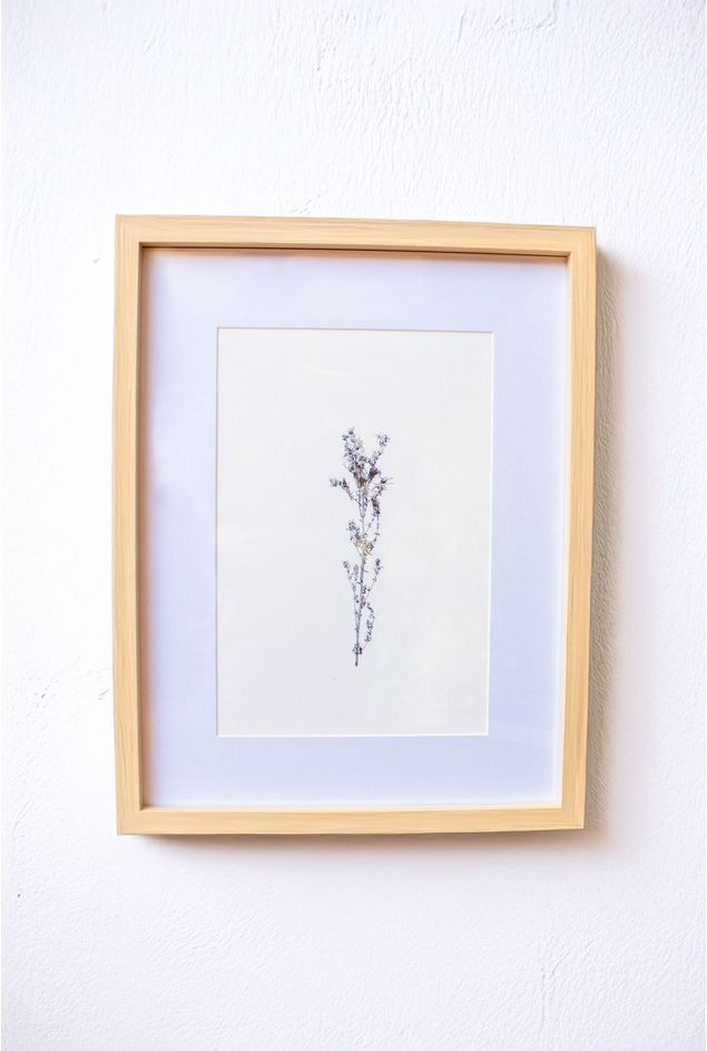 Quadro decorativo Botanico de inverno IV -7- 1.jpg